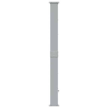 Patio Retractable Side Awning 160x300 cm Blue