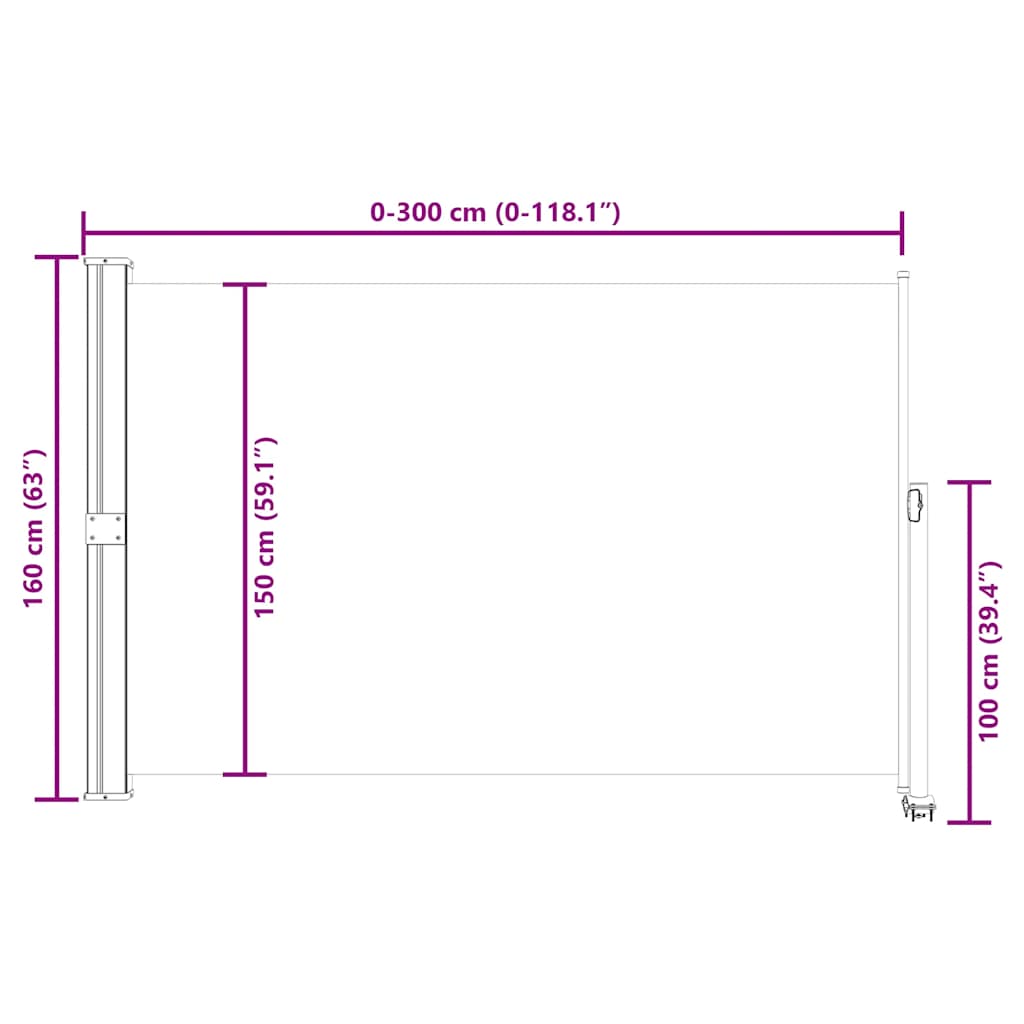 Patio Retractable Side Awning 160x300 cm Blue