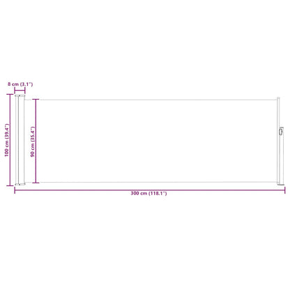 Patio Retractable Side Awning 100x300 cm Black