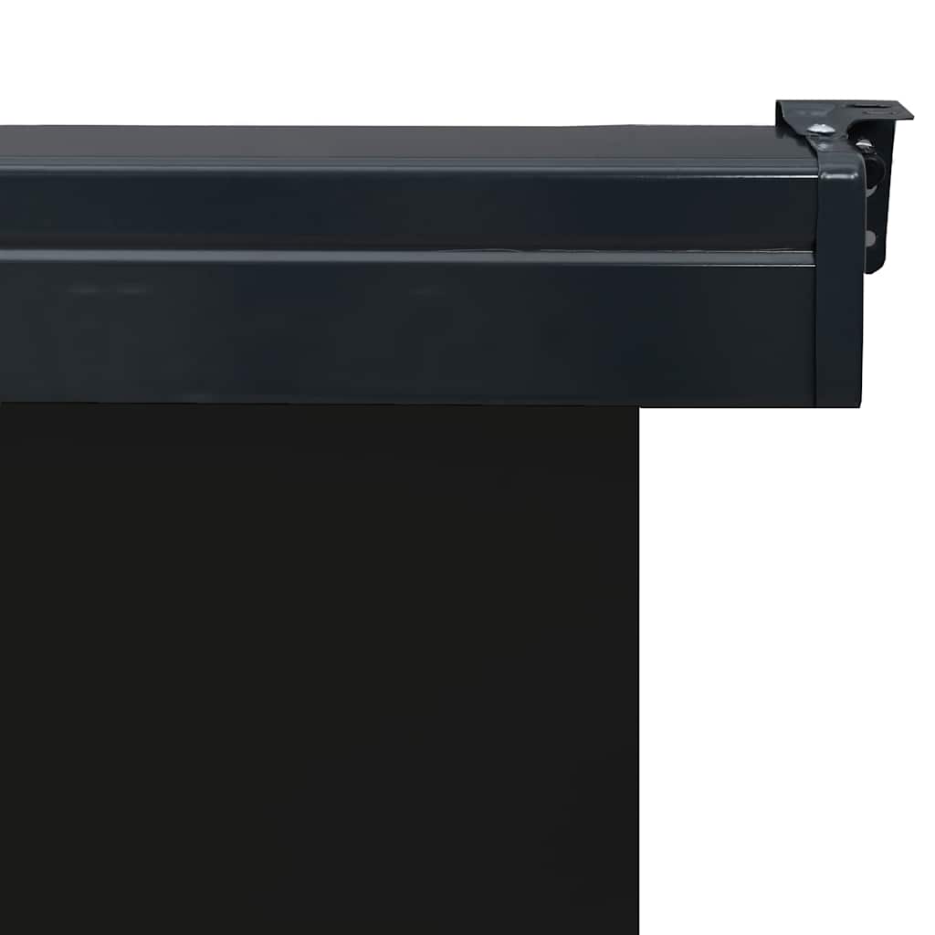 Balcony Side Awning 125x250 cm Black