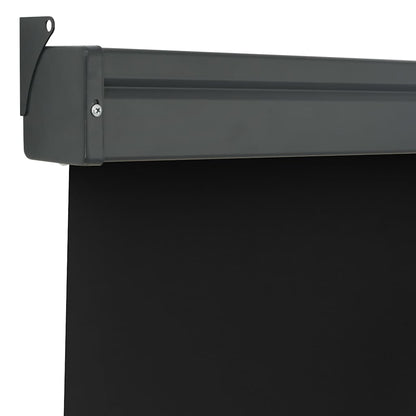Balcony Side Awning 125x250 cm Black