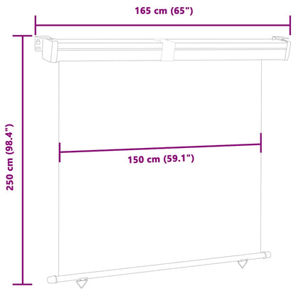 Balcony Side Awning 165x250 cm Black