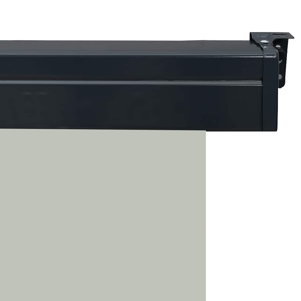 48434 vidaXL Balcony Side Awning 165x250 cm Grey