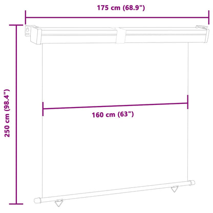 48438 vidaXL Balcony Side Awning 175x250 cm Blue