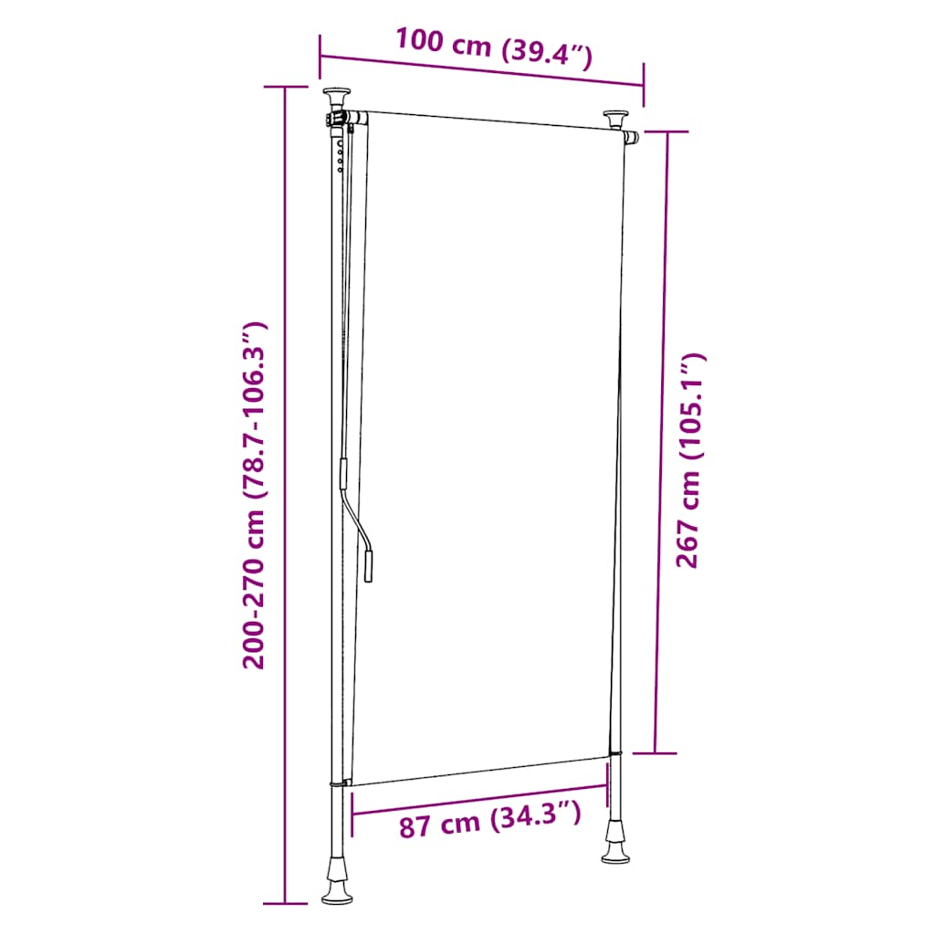 Outdoor Roller Blind 100x270 cm Cream
