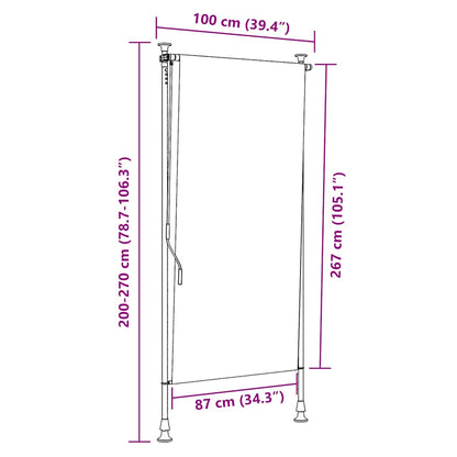 Outdoor Roller Blind 100x270 cm Cream