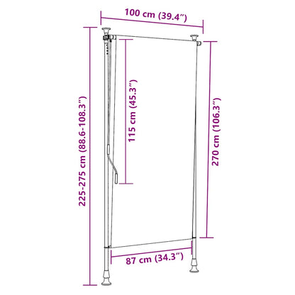 Outdoor Roller Blind 100x270 cm Cream