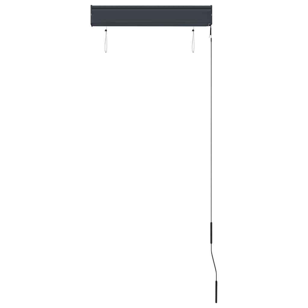 Outdoor Roller Blind 60x250 cm Blue and White