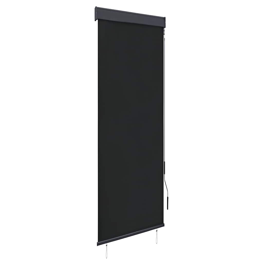 Outdoor Roller Blind 60x250 cm Anthracite