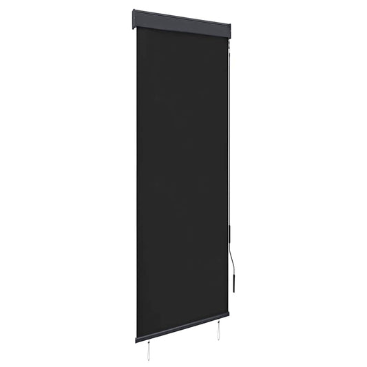 145946 vidaXL Outdoor Roller Blind 60x250 cm Anthracite