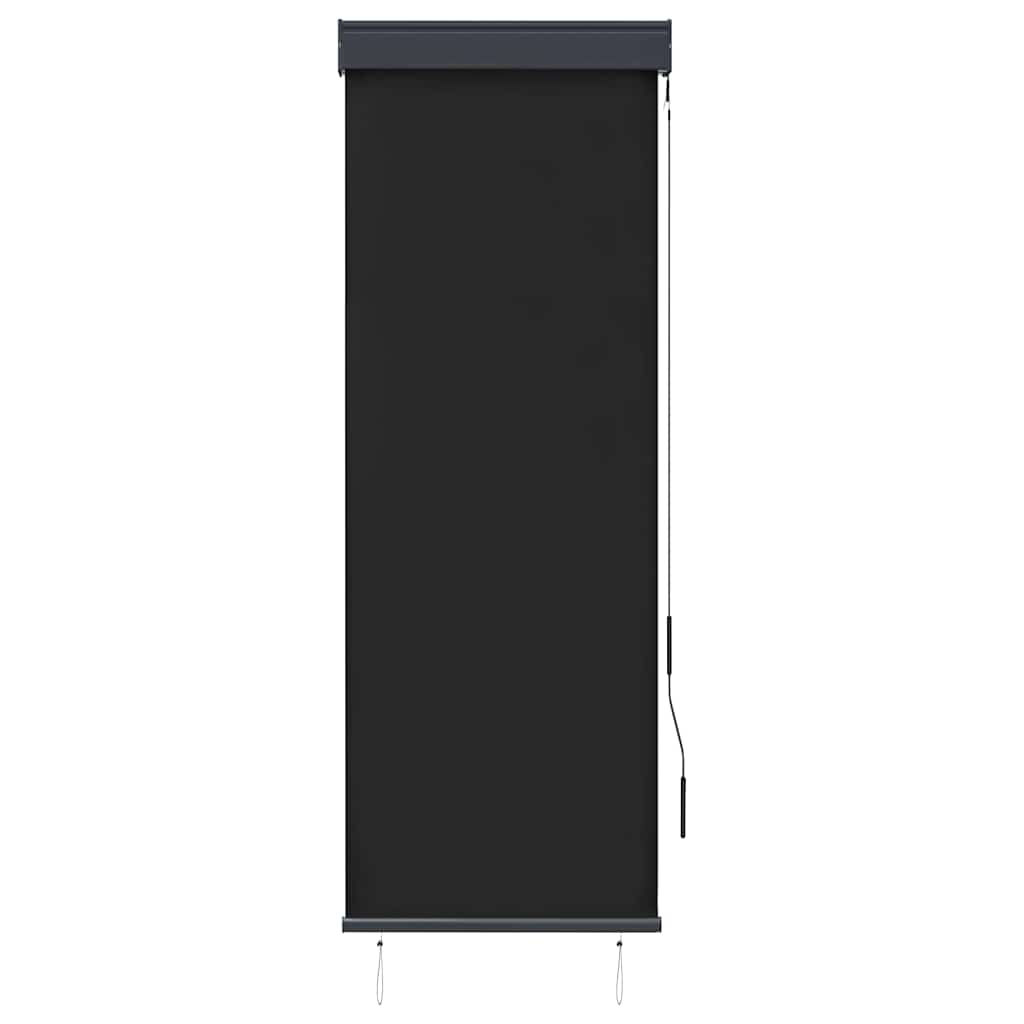 Outdoor Roller Blind 60x250 cm Anthracite