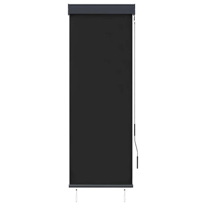 Outdoor Roller Blind 60x250 cm Anthracite