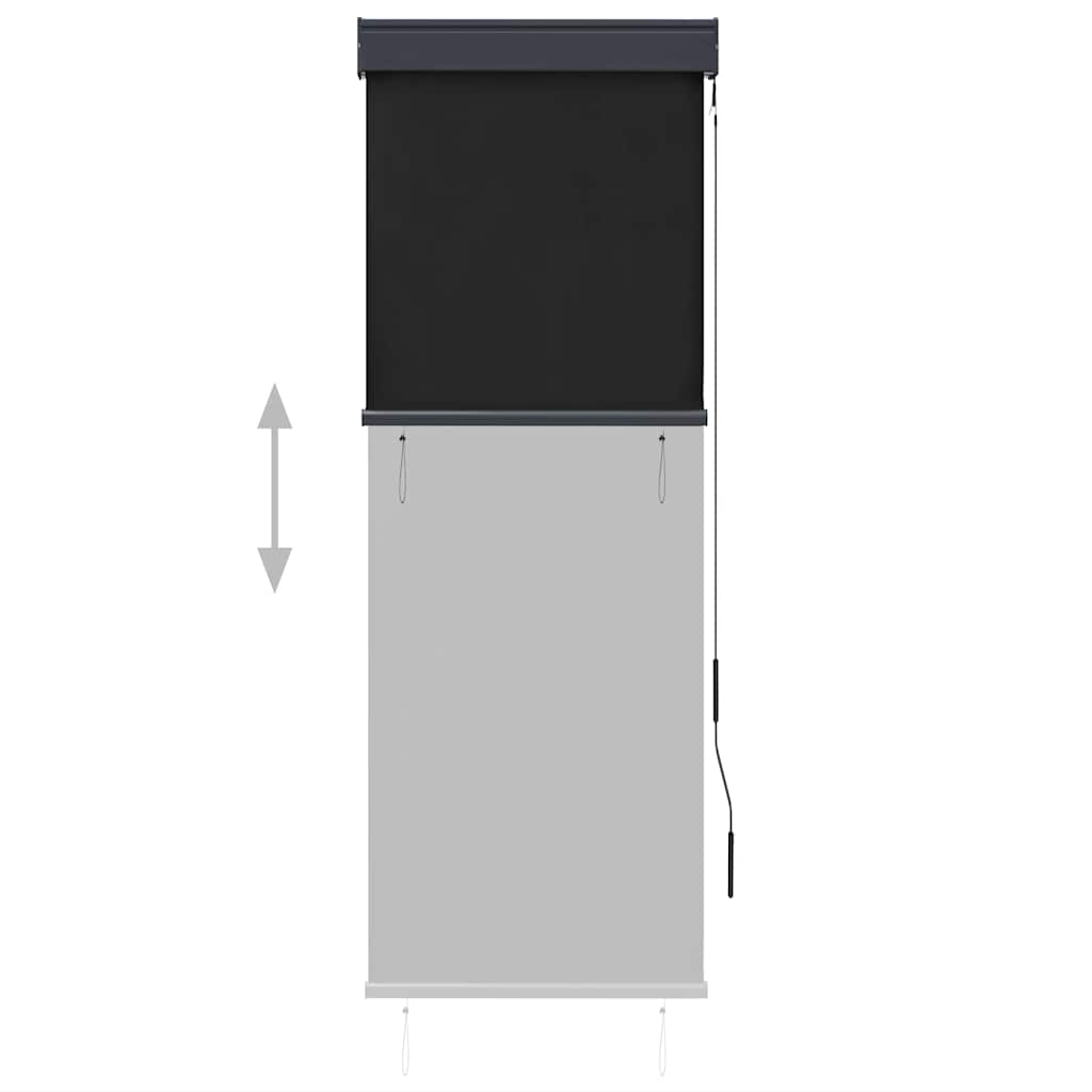 Outdoor Roller Blind 60x250 cm Anthracite
