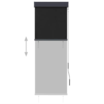 Outdoor Roller Blind 60x250 cm Anthracite