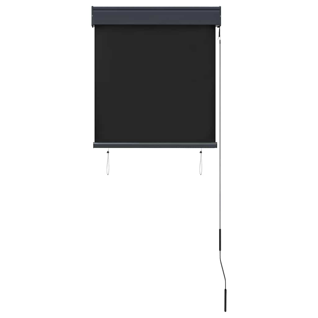 Outdoor Roller Blind 60x250 cm Anthracite