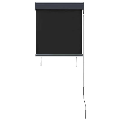 Outdoor Roller Blind 60x250 cm Anthracite