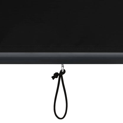 Outdoor Roller Blind 60x250 cm Anthracite