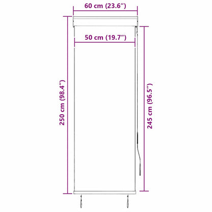 Outdoor Roller Blind 60x250 cm Anthracite