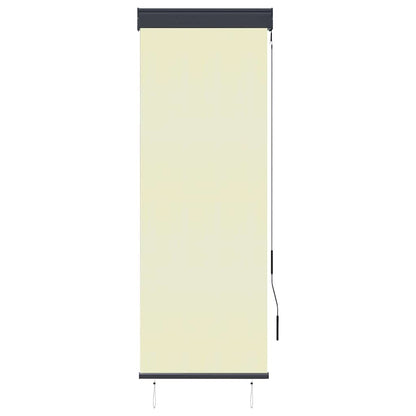Outdoor Roller Blind 60x250 cm Cream