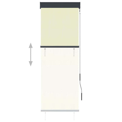 Outdoor Roller Blind 60x250 cm Cream