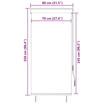 Outdoor Roller Blind | Anthracite | Polyester with PA coating