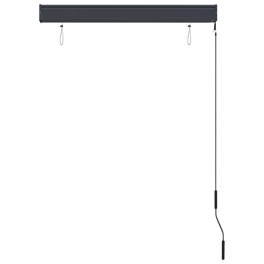 Outdoor Roller Blind 100x250 cm Blue and White
