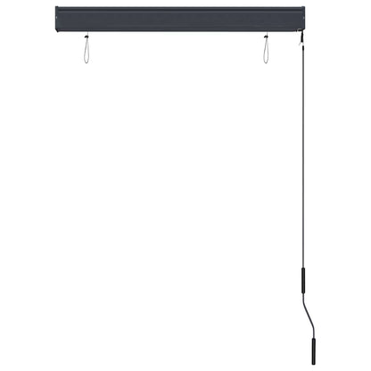 Outdoor Roller Blind 100x250 cm Blue and White