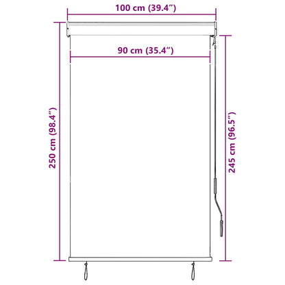Outdoor Roller Blind 100x250 cm Blue and White