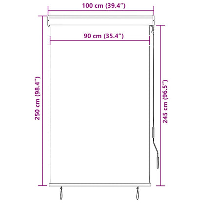 Outdoor Roller Blind 100x250 cm White and Orange