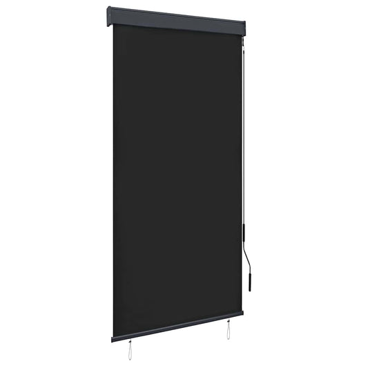 145958 vidaXL Outdoor Roller Blind 100x250 cm Anthracite