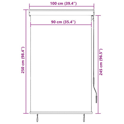 Outdoor Roller Blind | Anthracite