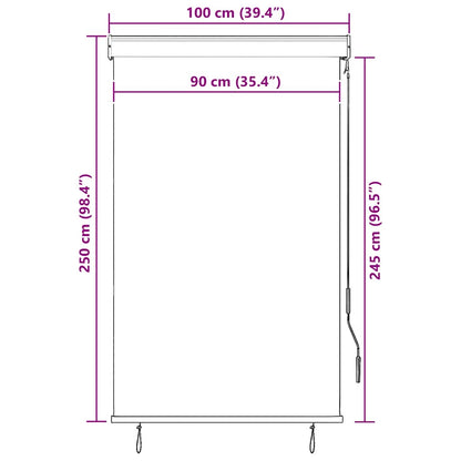 Outdoor Roller Blind | Cream