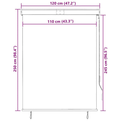 Outdoor Roller Blind 120x250 cm Yellow and Blue