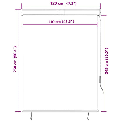 Outdoor Roller Blind 120x250 cm White and Orange