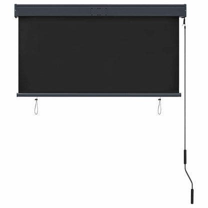 Outdoor Roller Blind 120x250 cm Anthracite