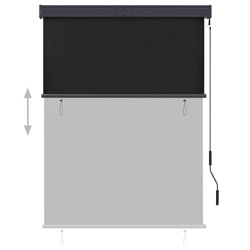 Outdoor Roller Blind 120x250 cm Anthracite
