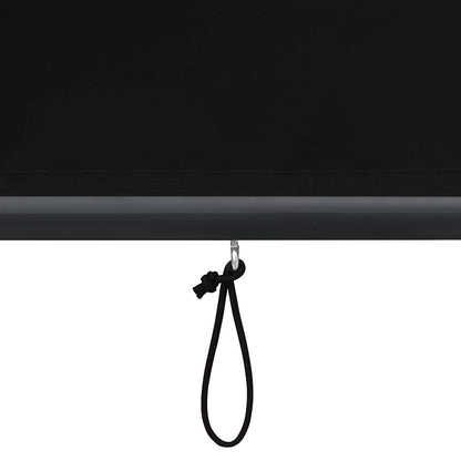Outdoor Roller Blind 120x250 cm Anthracite
