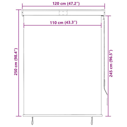 Outdoor Roller Blind 120x250 cm Anthracite