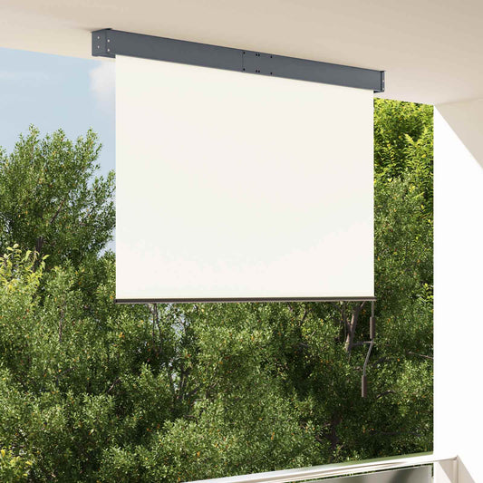 145971 vidaXL Outdoor Roller Blind 140x250 cm Cream
