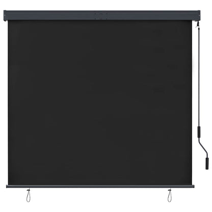 Roller Shade | Anthracite | Polyester | 160x250 cm | Retractable