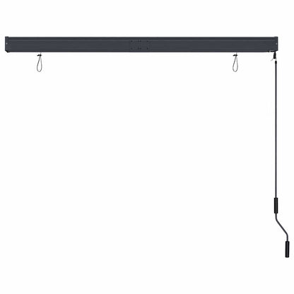 Roller Shade | Anthracite | Polyester | 160x250 cm | Retractable