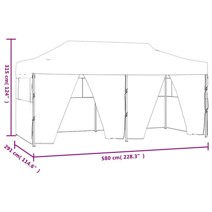 Professional Folding Party Tent with 4 Sidewalls 3x6 m Steel Anthracite