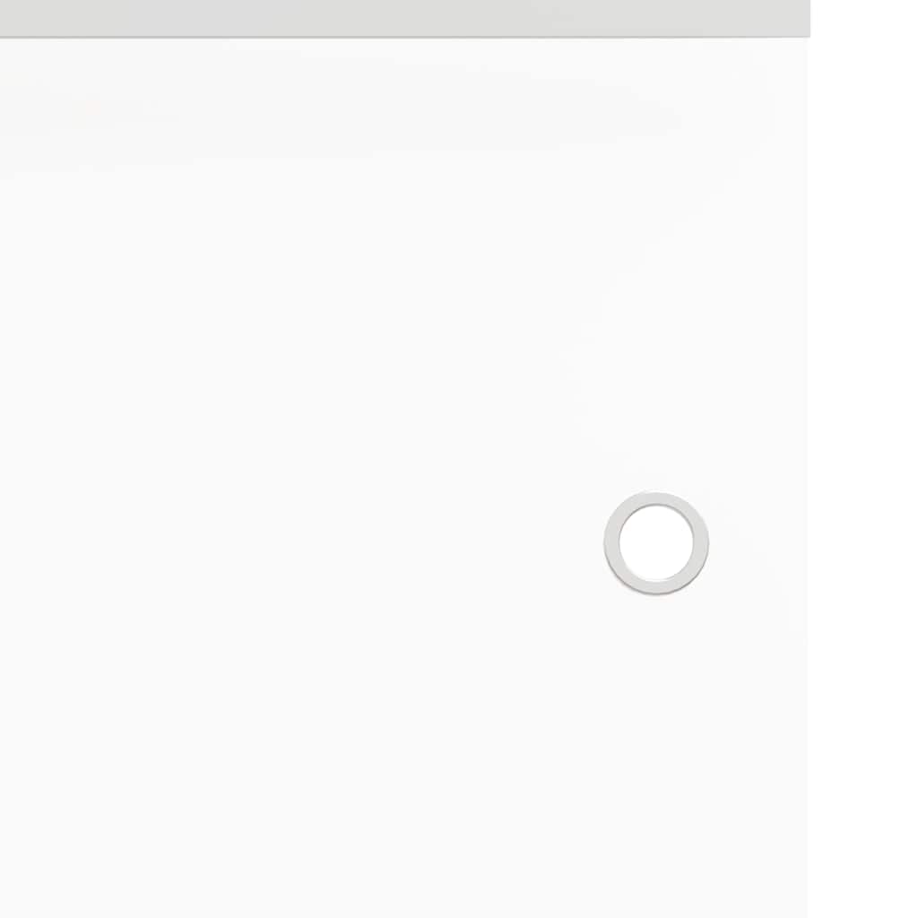 Sliding Door ESG Glass and Aluminium 90x212 cm Silver