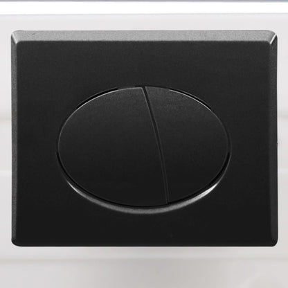 Wall Hung Toilet with Concealed Cistern Ceramic Black
