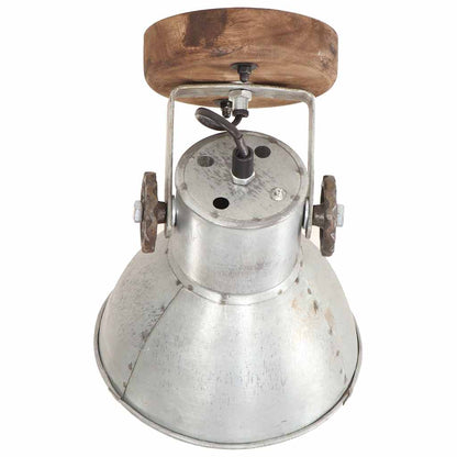 320504 vidaXL Industrial Wall/Ceiling Lamps 2 pcs Silver 20x25 cm E27