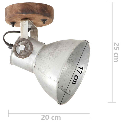 320504 vidaXL Industrial Wall/Ceiling Lamps 2 pcs Silver 20x25 cm E27
