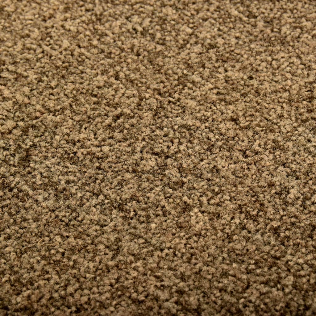 Doormat Washable Brown 40x60 cm