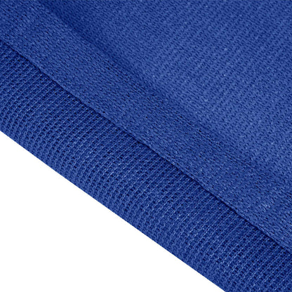 Tent Carpet 250x600 cm Blue HDPE