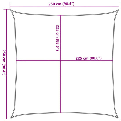 Sunshade Sail 160 g/m² Anthracite 2.5x2.5 m HDPE
