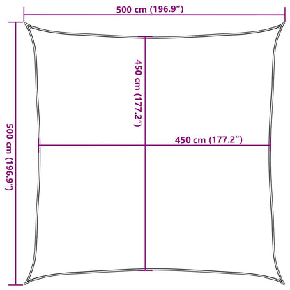Sunshade Sail 160 g/m² Light Green 5x5 m HDPE
